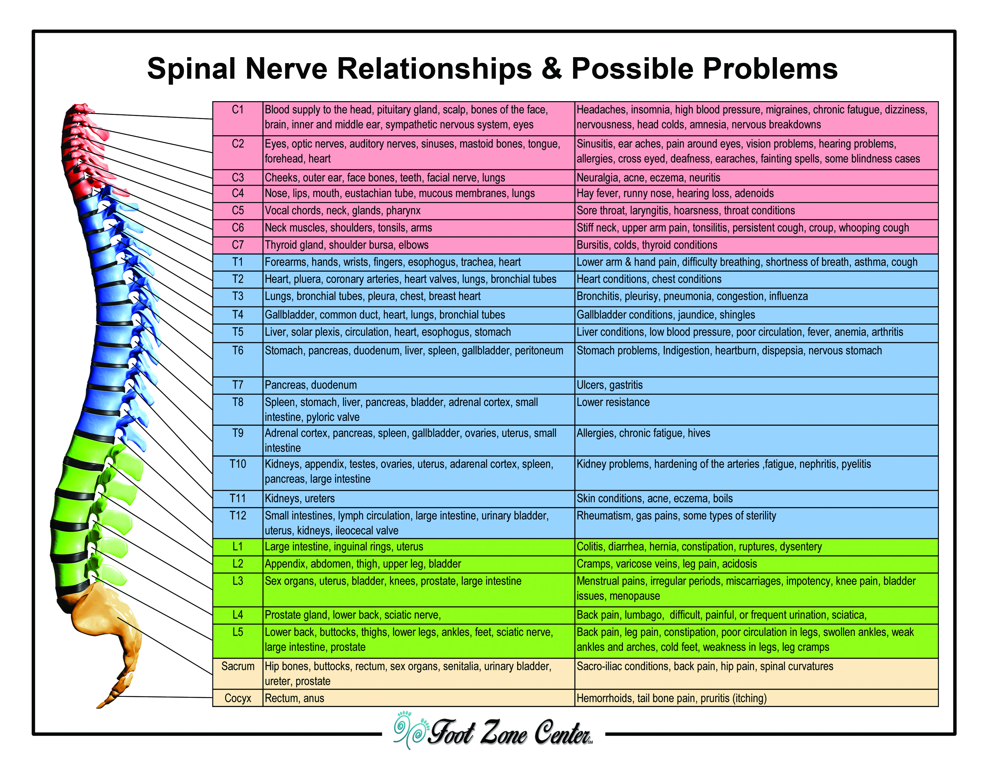 Kuaka spinal claw farming